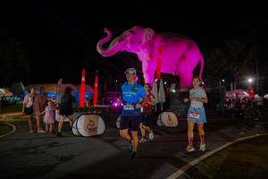 BIB: 
                            <button type="button" onclick="openModal(26552188)" class="btn btn-primary btn-sm float-right btn-popup" data-toggle="modal" data-target=".modal-high-quality">
                        <i class="fas fa-shopping-cart"></i> Add to Cart
                    </button>
                                            <button type="button" onclick="isThisMe(26552188, true)" class="btn btn-success btn-sm float-right btn-popup btn-isme hidden" data-toggle="tooltip" data-placement="bottom" title="นี่คือรูปของคุณใช่ไหม คลิกที่นี่เพื่อเอาเข้าอัลบั้ม">
                        <i class="fas fa-plus"></i> Add to album
                    </button>
                    <button type="button" onclick="isThisMe(26552188, false)" class="btn btn-warning btn-sm float-right btn-popup btn-isnotme hidden">
                        <i class="fas fa-ban"></i> Remove from album
                    </button>